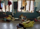 Ấn Độ: Tiêu diệt tội phạm nguy hiểm, từng bắn chết 8 cảnh sát ảnh 2 Ấn Độ: Hàng ngàn cô dâu bỏ mạng vì của hồi môn