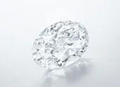 Chiếc nhẫn đính 12.638 viên kim cương đạt kỷ lục Guinness ảnh 3 Viên kim cương 102,39 carat có thể được đấu giá 700 tỉ đồng