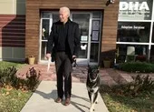 Chó của ông Biden bị 'đuổi' khỏi Nhà Trắng vì cắn người ảnh 2 Sau 2 chú chó, ông Biden tính đưa thêm 1 con mèo đến Nhà Trắng