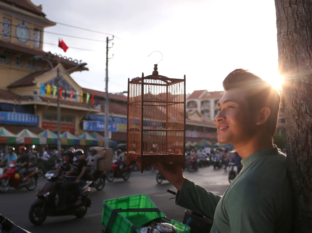 Album Da vàng của Trịnh lần đầu tiên phát hành trong nước sau 41 năm ảnh 2