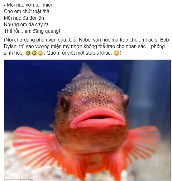 'Ném đá' nhan sắc hoa hậu, các anh vui lắm sao? ảnh 5 'Ném đá' nhan sắc hoa hậu, các anh vui lắm sao? ảnh 5