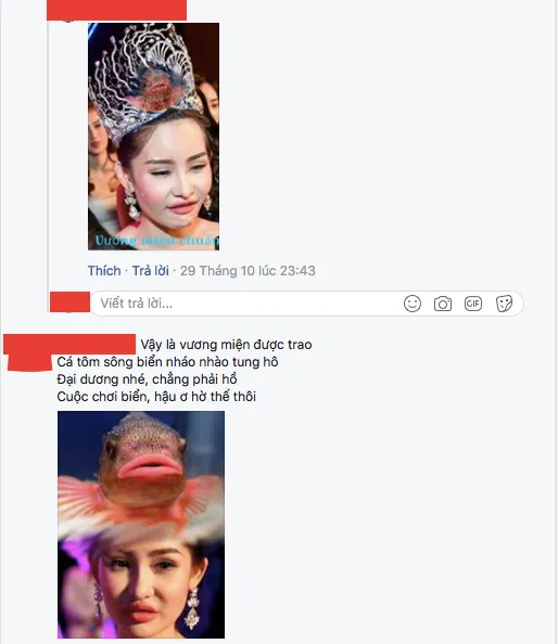 'Ném đá' nhan sắc hoa hậu, các anh vui lắm sao? ảnh 6 'Ném đá' nhan sắc hoa hậu, các anh vui lắm sao? ảnh 6