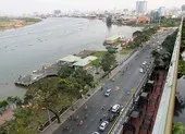 Ngắm ba gốc đại thụ được giữ lại bên bến Bạch Đằng ảnh 8 Sẽ đốn hạ 146 cây xanh để chỉnh trang công viên bến Bạch Đằng