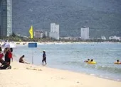 Khuyến cáo sứa lửa gây ngứa khi tắm biển Đà Nẵng ảnh 2 Biển Đà Nẵng an toàn, vậy nguyên nhân gây ngứa là gì?