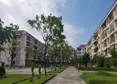 Đà Nẵng xử nghiêm vi phạm về xét duyệt mua chung cư Nesthome ảnh 3 Đà Nẵng: Nhiều trường hợp sẽ bị thu hồi căn hộ chung cư