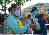 COVID-19 trở lại, Đà Nẵng dừng chủ trương mở cửa trường mầm non ảnh 2 Đà Nẵng thêm 5 ca dương tính với SARS-CoV-2
