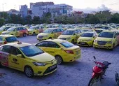 Mong muốn đưa công xưởng du thuyền Châu Âu về Đà Nẵng ảnh 3 Đà Nẵng: Du lịch đã mở cửa nhưng taxi, du thuyền vẫn nằm bãi