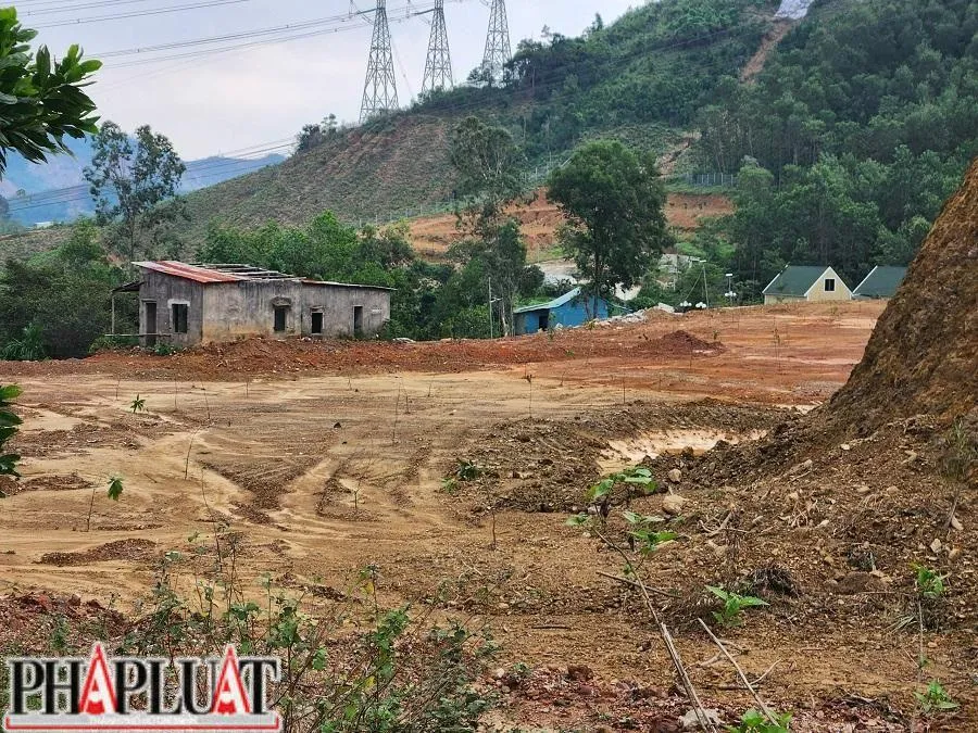 Khu vực diễn ra hoạt động múc đất "chui" được trồng một số cây nhỏ. Ảnh: TẤN VIỆT Khu vực diễn ra hoạt động múc đất "chui" được trồng một số cây nhỏ. Ảnh: TẤN VIỆT