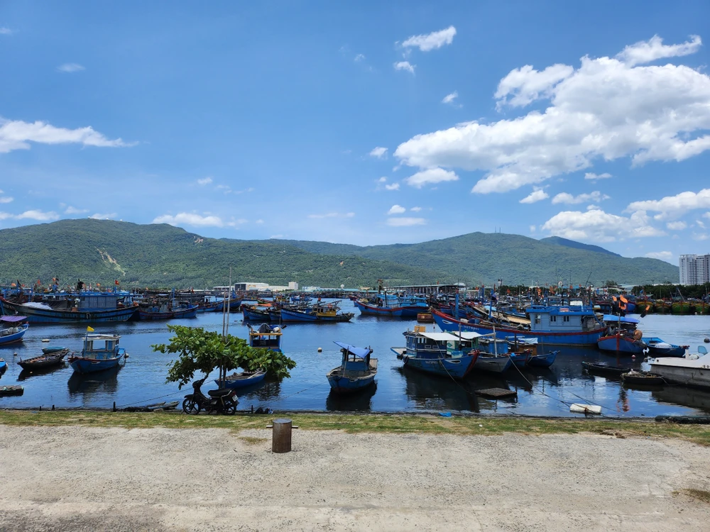 Tàu cá neo đậu tại Âu thuyền Thọ Quang, Đà Nẵng. Ảnh: TV