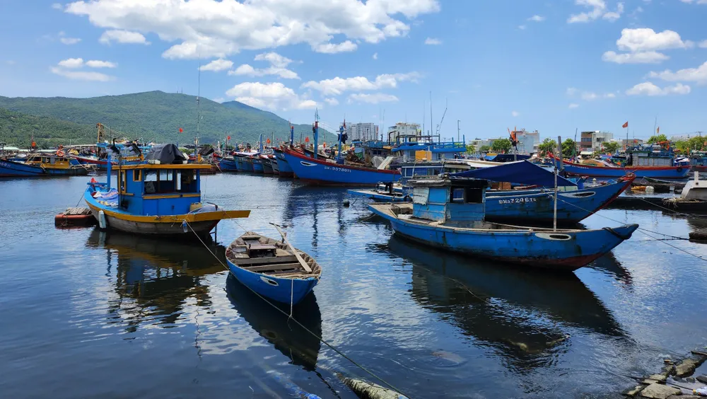 âu thuyền thọ quang