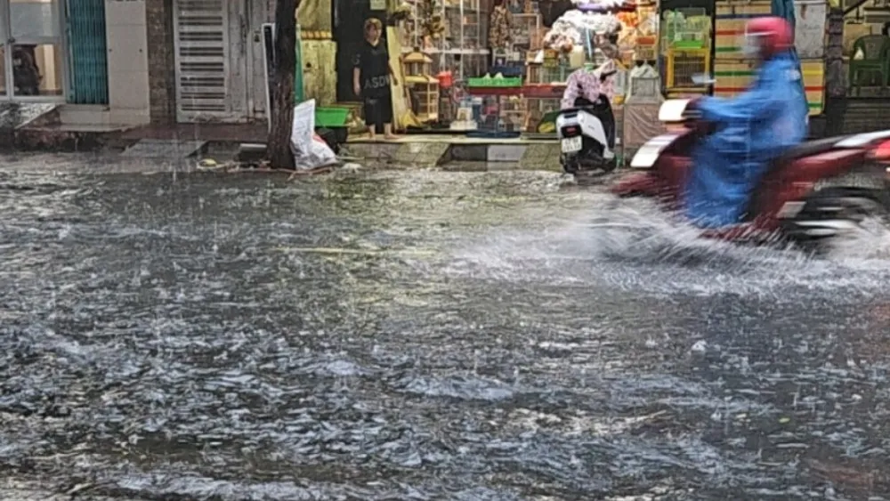 Mưa lớn gây ngập trên đường Nguyễn Công Trứ, quận Sơn Trà. mưa lớn ngập lụt đà nẵng