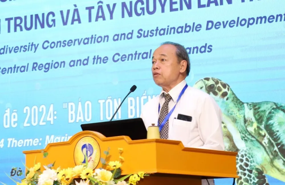 Ông Nguyễn Đình Phúc, Phó Chủ tịch Liên hiệp các Hội khoa học và kỹ thuật TP Đà Nẵng. Ảnh: TẤN VIỆT suy thoái môi trường biển đà nẵng hội thảo