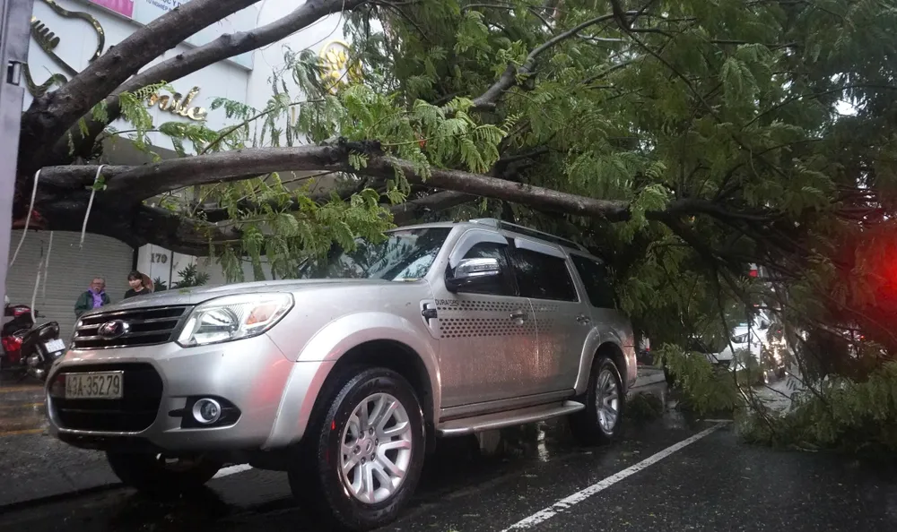 bão trà mi đà nẵng