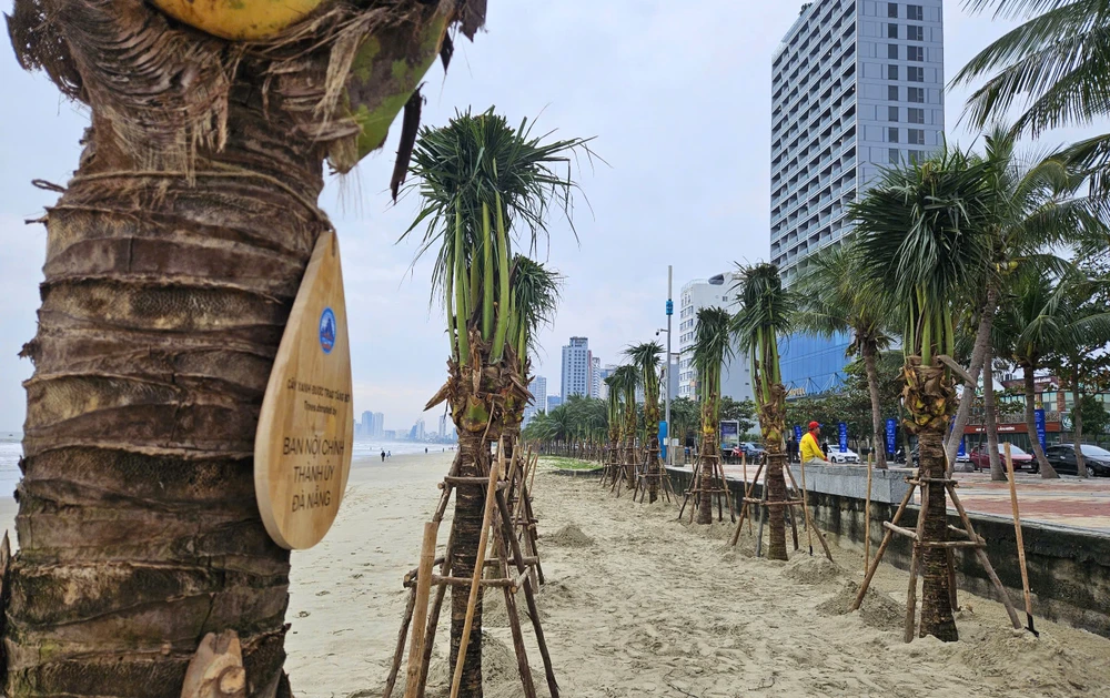 bai-bien-tai-da-nang-5-7775.jpg