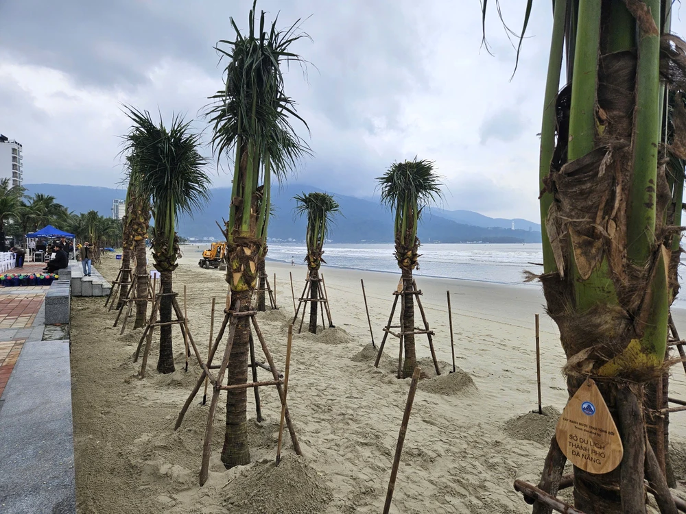 bai-bien-tai-da-nang-6-2198.jpg