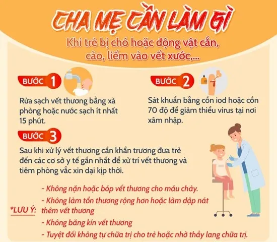 Bệnh viện Nhi Trung ương khuyến cáo cách xử lý khi trẻ bị chó, mèo cắn. bé bị chó nhà cắn