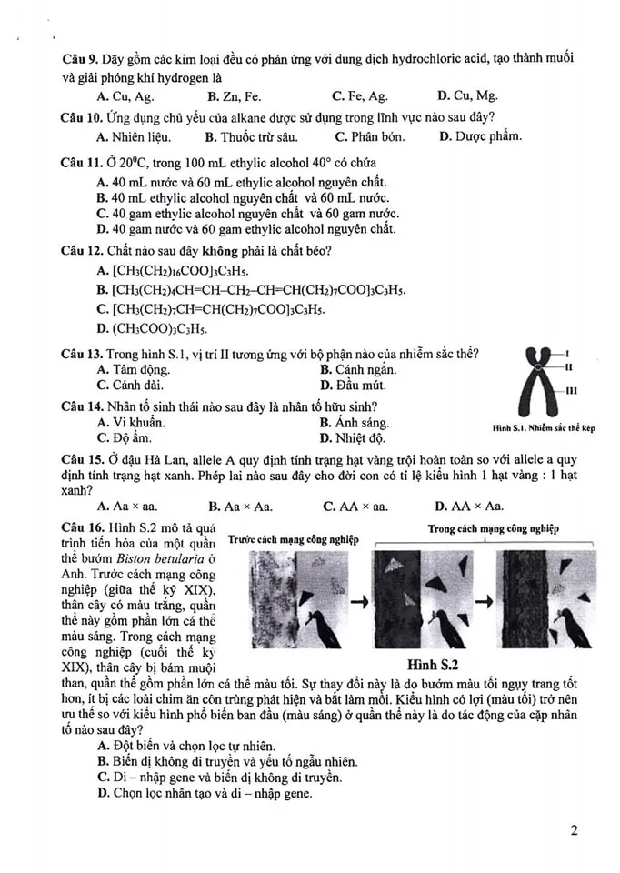 đề minh họa thi vào lớp 10 khtn 2.jpg