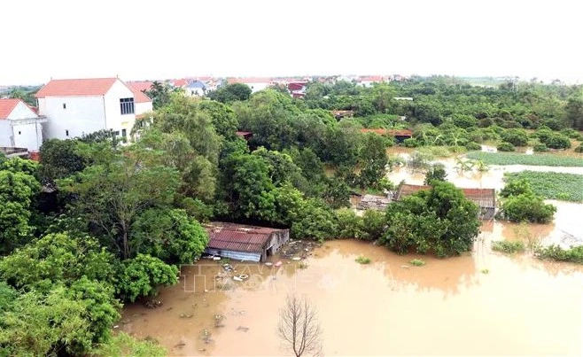 Mực nước sông Hồng lớn gây ngập vườn, ao của các hộ gia đình tại xã Tân Hưng, TP. Hưng Yên. Ảnh: TTXVN tuyến đê tả sông Hồng.jpg