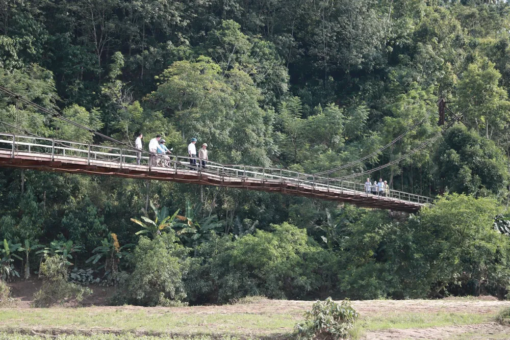 cầu lâm đồng.jpg