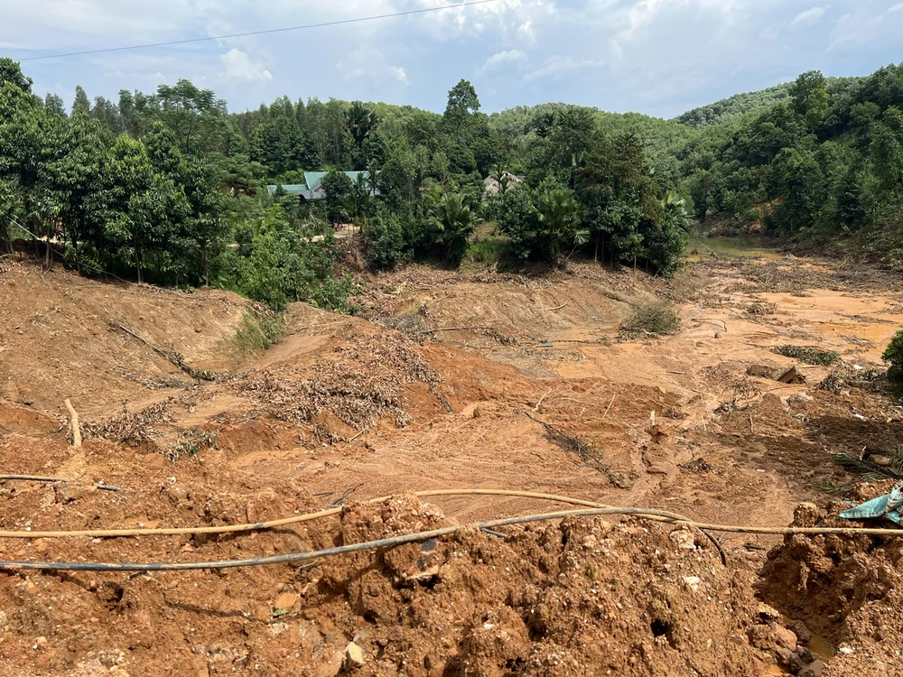 Báo Pháp Luật TP.HCM 1.jpg