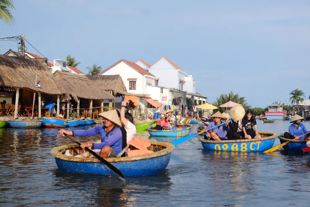 rừng dừa bảy mẫu