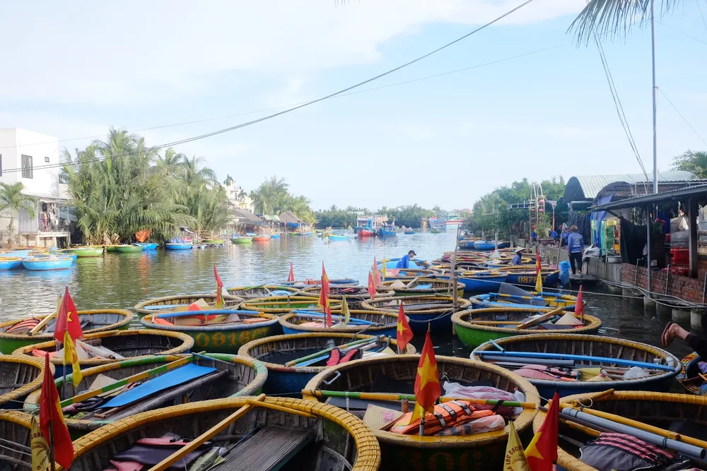 rừng dừa bảy mẫu