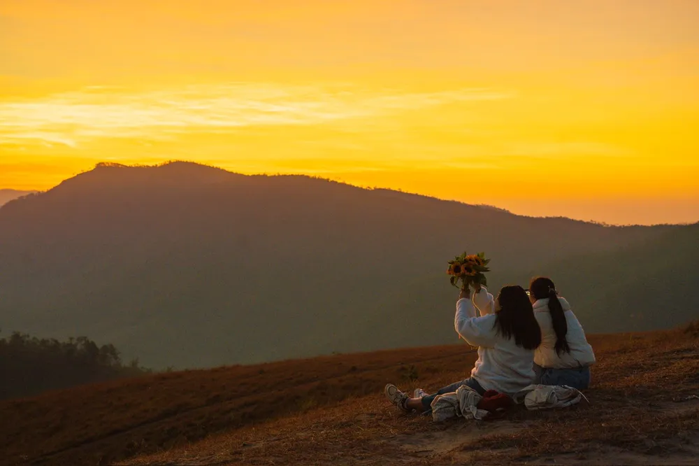 Sáng sớm, những tia nắng đầu tiên chiếu rọi lên những thảm cỏ, tạo nên một khung cảnh tuyệt đẹp, thư thái và dễ chịu. Đỉnh Phượng Hoàng không chỉ là thiên đường của những người yêu thích thiên nhiên mà còn là nơi lý tưởng để thoát khỏi sự bận rộn của cuộc sống, hòa mình vào không gian yên bình của đất trời.