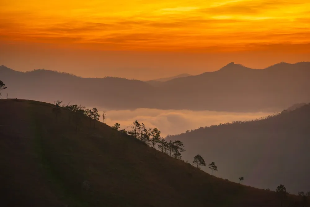 Những ngày này, vào sáng sớm, khu vực đồi Phượng Hoàng xuất hiện biển mây tuyệt đẹp, mờ ảo trong ánh bình minh.