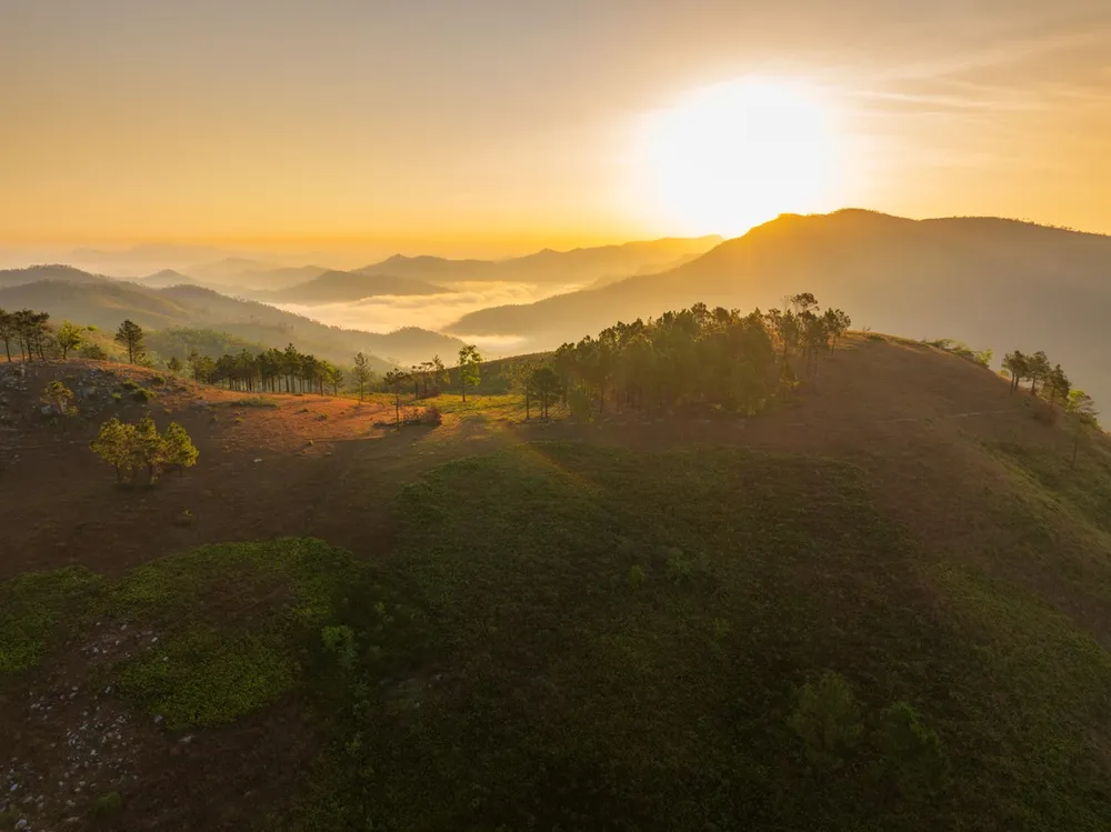 Đầu tháng 12 năm nay, trên đỉnh Phượng Hoàng vẫn còn một vài đồi cỏ xanh mướt. Khi đứng trên đỉnh núi, du khách có thể nhìn thấy những đồi núi trập trùng, những hàng thông xanh ngát giữa thiên nhiên bao la.