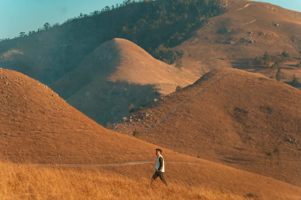 đỉnh phượng hoàng