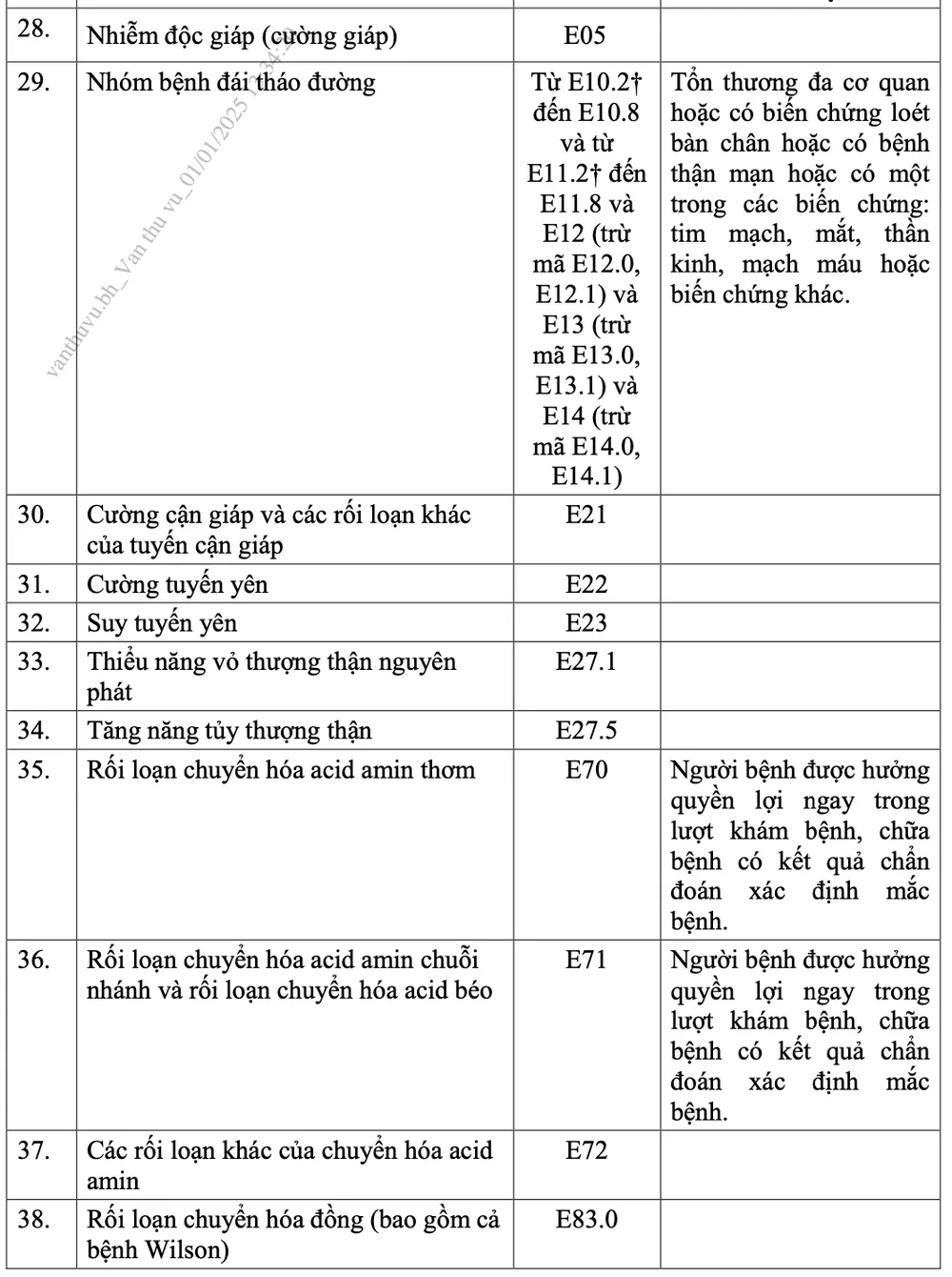 giấy chuyển tuyến 02.png