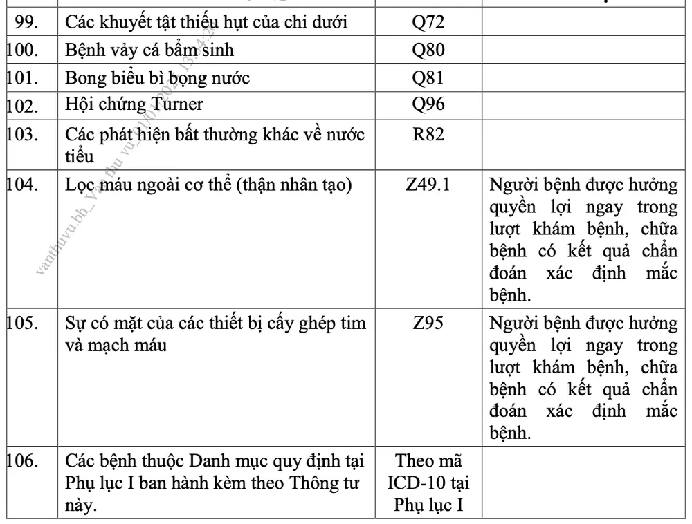 giấy chuyển tuyến 07.png