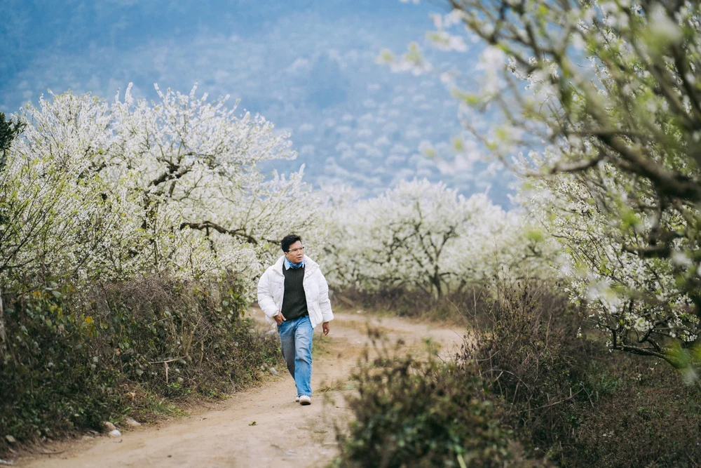 Du khách thăm vườn như lạc vào xứ sở thần tiên bởi hoa mận phủ trắng núi đồi, thung lũng, tạo nên khung cảnh lãng mạn, tinh khôi. Thung lũng mận Nà Ka, Mu Náu, bản Ba Phách là những nơi có diện tích trồng mận lớn nhất huyện Mộc Châu. 