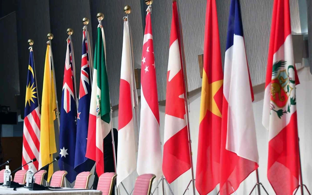 Các nước thành viên CPTPP có quan điểm khác nhau về việc TQ gia nhập CPTPP. Ảnh: NEKKEI ASIA