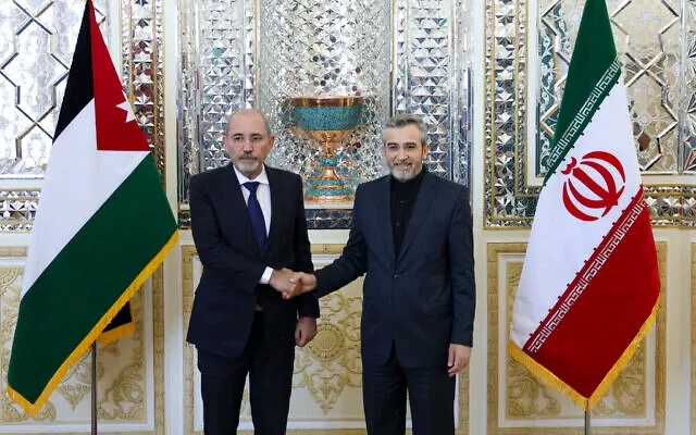 Quyền Ngoại trưởng Iran Ali Bagheri (trái) và Ngoại trưởng Jordan Ayman Safadi tại Tehran (Iran) hôm 4-8. Ảnh: AFP AFP__20240804__369K6AZ__v2__High.jpg