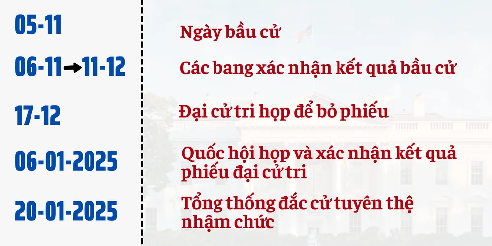 ngày bầu cử.png