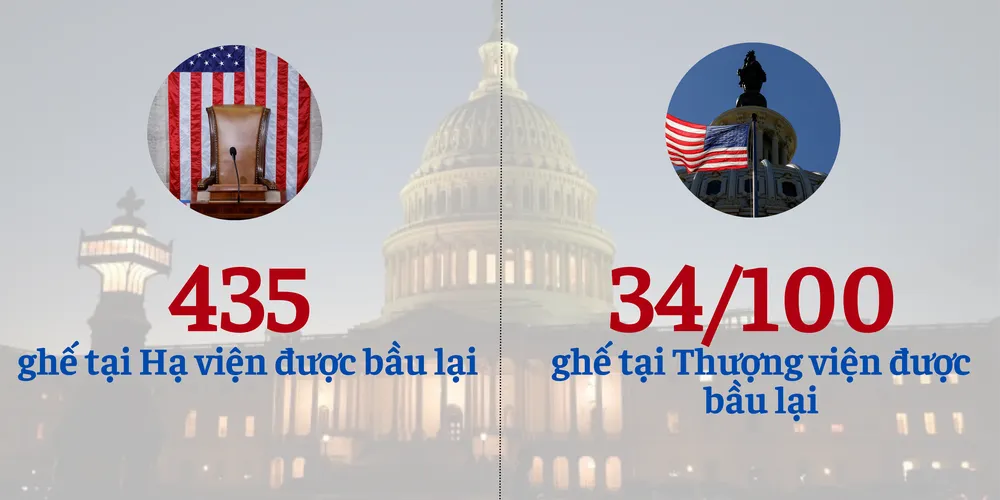 bầu cử Mỹ 2024.png