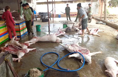 Phát hiện 400 kg thịt heo bốc mùi hôi thối ảnh 1 Phát hiện 400 kg thịt heo bốc mùi hôi thối d