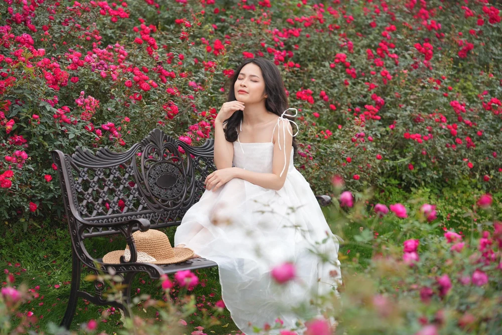 Vườn hồng đã trở thành địa điểm lui tới thường xuyên của giới yêu hoa đặc biệt là những bạn trẻ thích check-in giữa khung cảnh lãng mạn đầy hoa hồng.