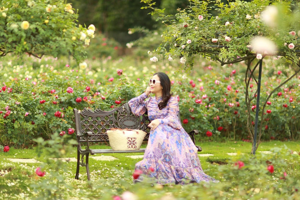 Đến vườn hồng, nhiều người không khỏi bày tỏ sự ngưỡng mộ trước sự sáng tạo, đam mê hoa hồng của chị cũng như dành lời khen ngợi trước vẻ đẹp ngất ngây của vườn hồng.