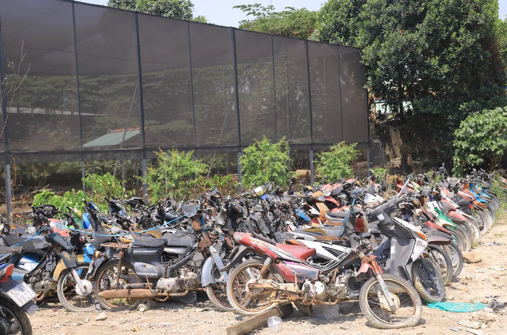 Các phương tiện vi phạm hành chính sau thời gian dài không có người nhận bị hư hỏng nặng. Ảnh: VÕ THƠ Các phương tiện vi phạm hành chính sau thời gian dài không có người nhận bị hư hỏng nặng. Ảnh: VÕ THƠ