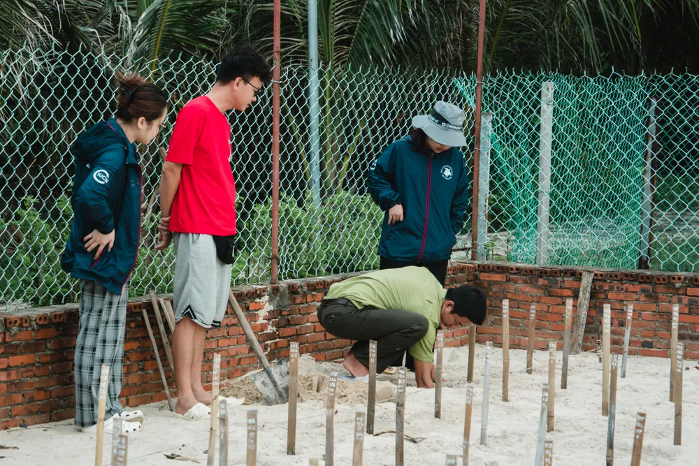 Nhân viên Trạm Kiểm lâm Bảy Cạnh hướng dẫn TNV đào tổ chôn trứng. Tổ nhân tạo được đào tương tự như tổ rùa tự nhiên. Ảnh: NGUYÊN PHÁT
