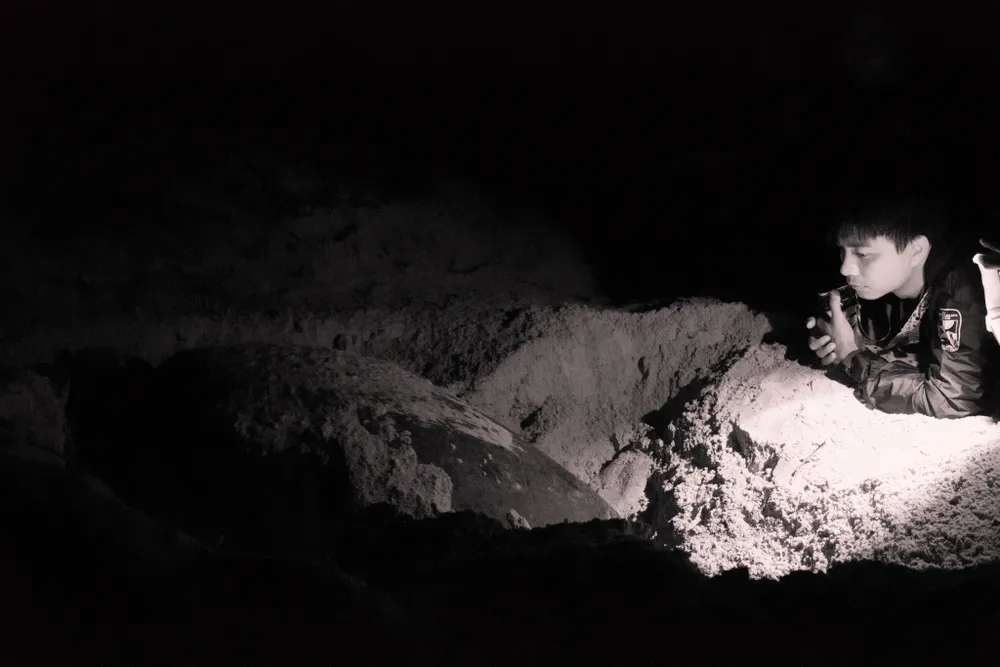 TNV quan sát rùa đẻ và chờ di dời trứng. Ảnh: NGUYÊN PHÁT