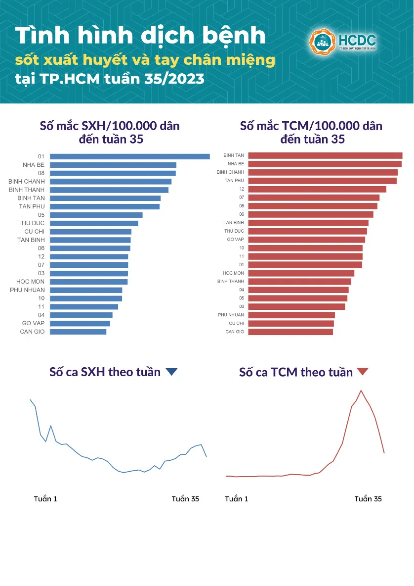 Tình hình dịch bệnh sốt xuất huyết và tay chân miệng tại TP.HCM tuần 35. Ảnh: HCDC