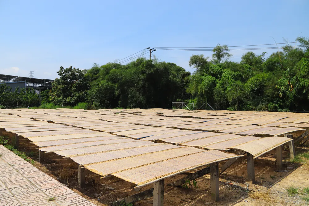 bánh tráng củ chi