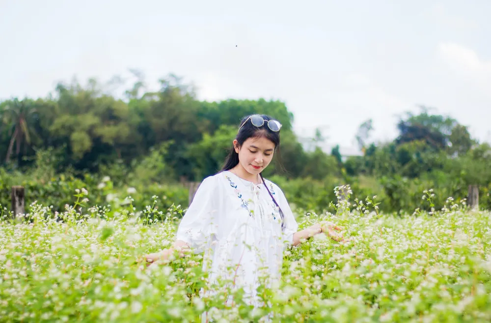 Mùa hoa tam giác mạch Hà Giang thường gây thương nhớ cho bao người bởi khung cảnh nên thơ tựa các bộ phim điện ảnh nay đã được xuất hiện tại Quảng Nam. Ảnh: Quang Đoàn tam giac mach 3.jpg