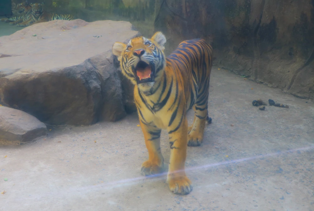 thao cam vien 44.JPG