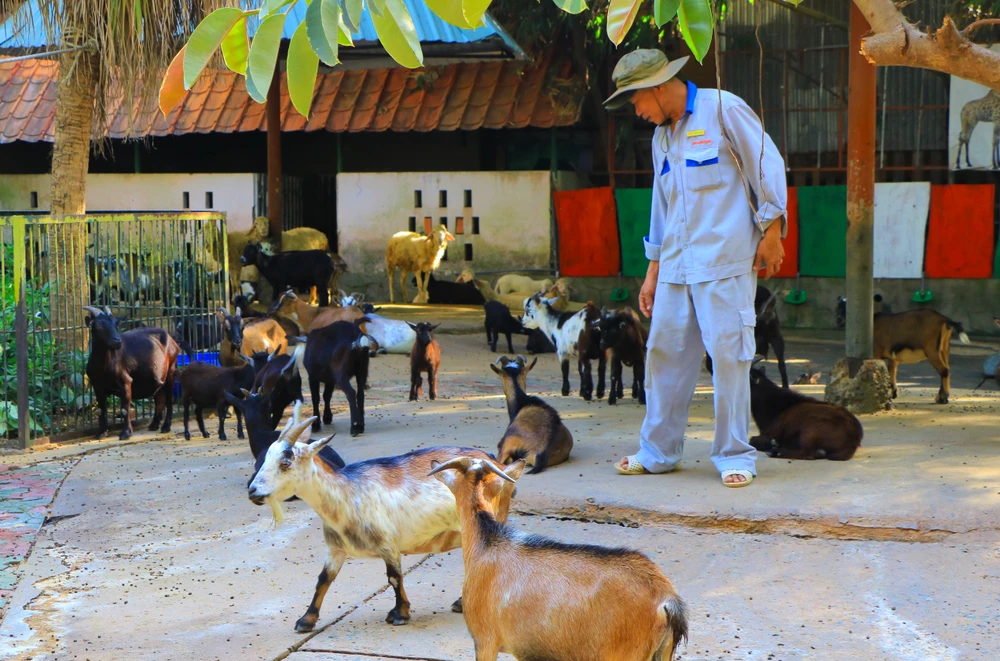 thao cam vien 56.JPG