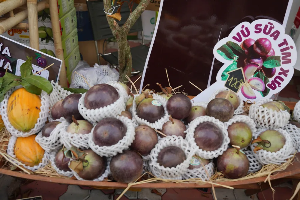 Tuan-le-trai-cay (6).jpg