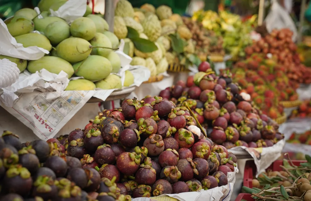 Tuan-le-trai-cay (7).jpg